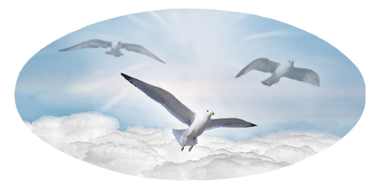 G5000 BL Sky Birds (sideways norman) PROOF